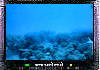 Male Unterwasser WebCam